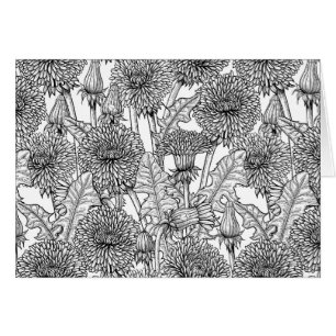 Dandelions, noir et blanc