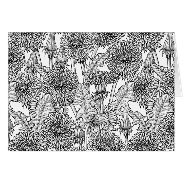 Dandelions, noir et blanc (Devant horizontal)