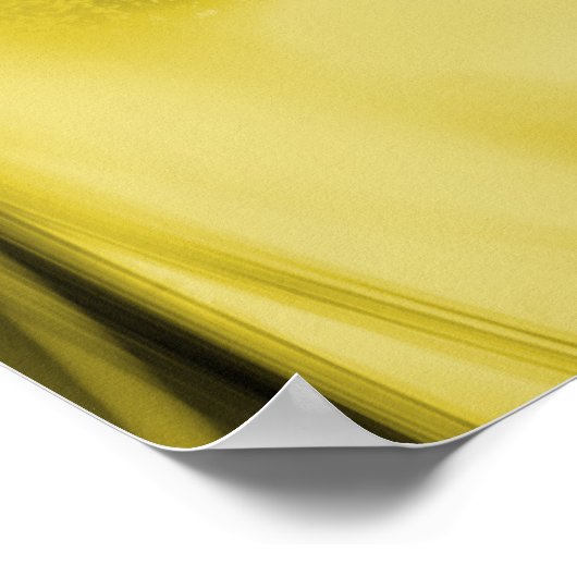 Dandelions rétroéclairés dans une affiche antique (Coin)