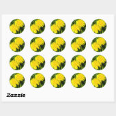 Dandelions Ronde Sticker (Vel)