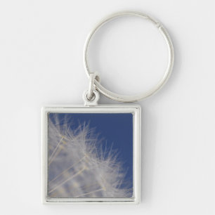 Dandelions Sleutelhanger