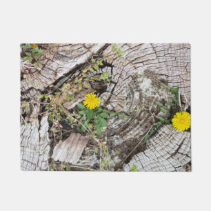 Dandelions stilleven deurmat