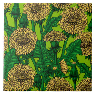 Dandelions Tegeltje