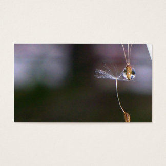 Dandelions Visitekaartjes