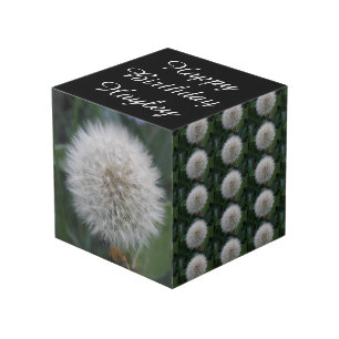 Dandelionventiel voor zaaigoed, speciaal aangepast kubus