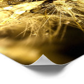 dandiana Poster (Hoek)