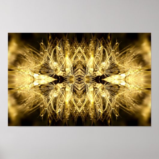 dandiana Poster (Voorkant)