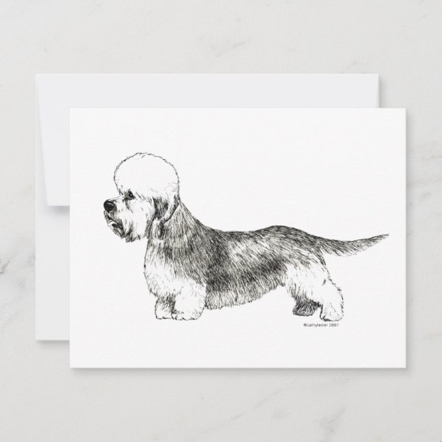 Dandie Dinmont Terrier (Voorkant)