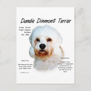 Dandie Dinmont Terrier Geschiedenis Ontwerp Briefkaart