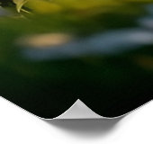 Dandie Dinmont Terrier in een Picknick Poster (Hoek)