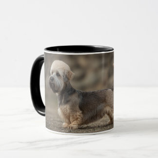 Dandie Dinmont Terrier Mok