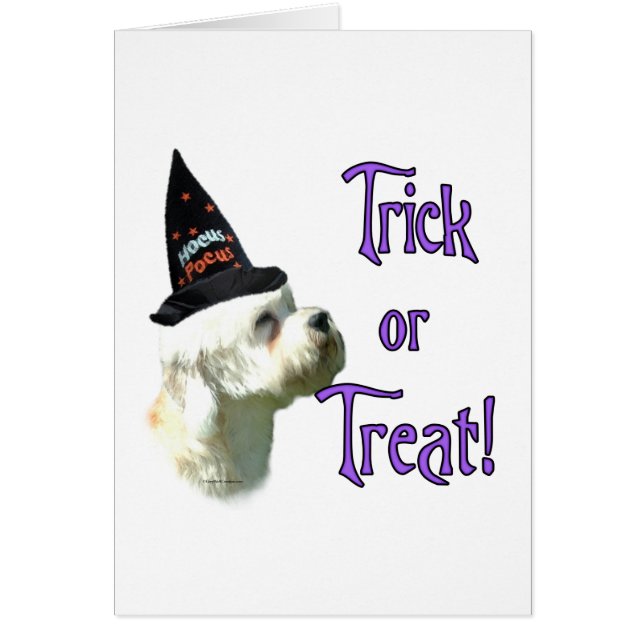 Dandie Dinmont Terrier Trick (Voorkant)