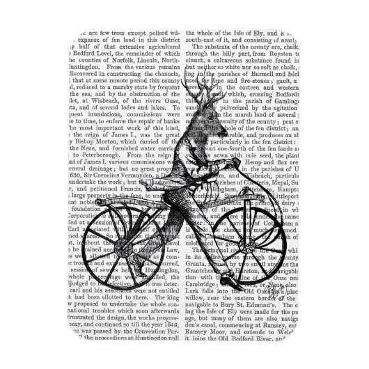 Dandy Deer op de  fiets Magneet (Verticaal)