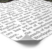 Dandy Fox Full Poster (Hoek)