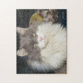 Dandy Lion Legpuzzel (Verticaal)