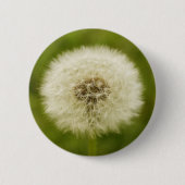 Dandy Lion Ronde Button 5,7 Cm (Voorkant)