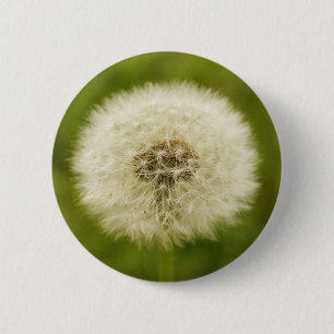 Dandy Lion Ronde Button 5,7 Cm