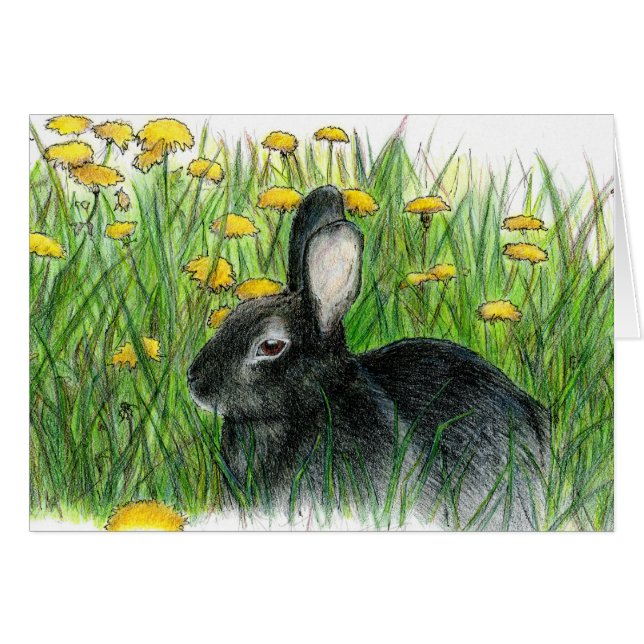 DANDY LIONS (Voorkant Horizontaal)