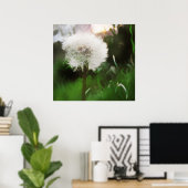 dandyDreams Poster (Thuiskantoor)