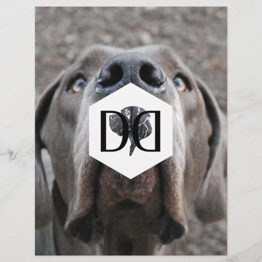 Danegezondheidsinventaris Flyer (Voorkant)