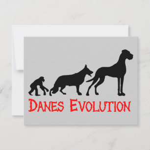 Danes Evolution