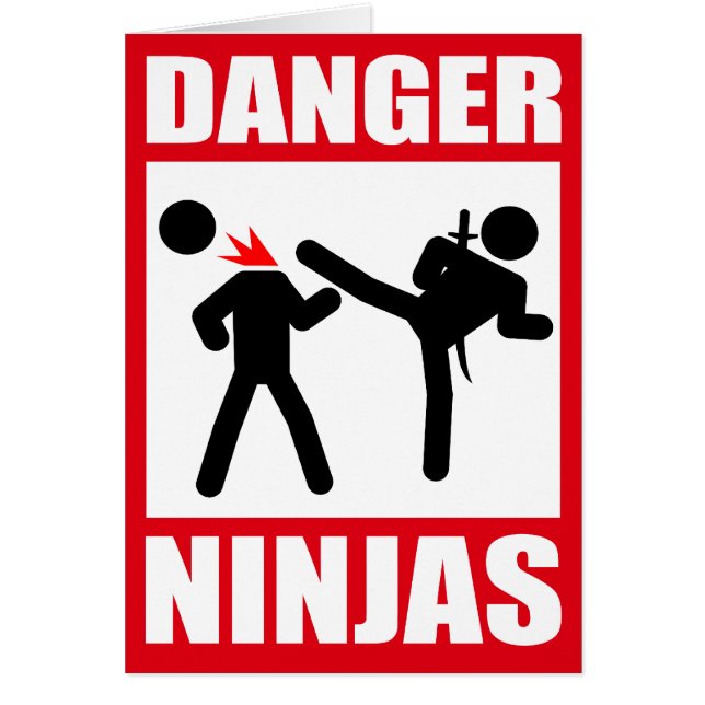 Danger Ninjas (Devant)
