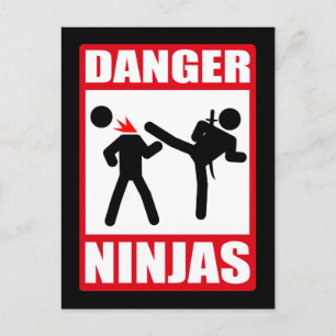 Danger Ninjas Briefkaart