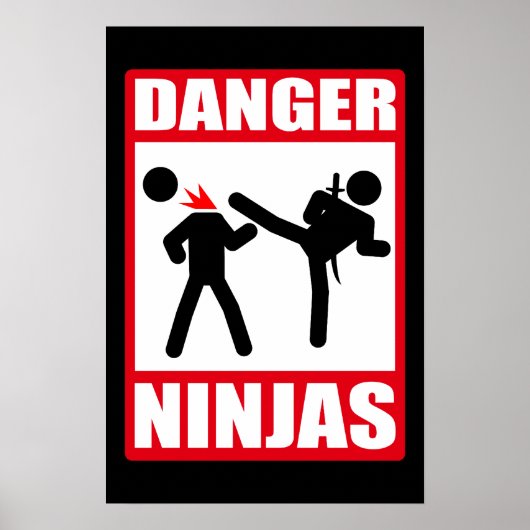 Danger Ninjas Poster (Voorkant)