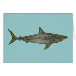 Danger - Requins sauvages