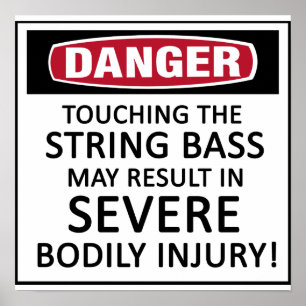 Danger String Bass Poster