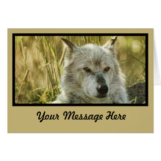 Dangereusement calme en bronzage