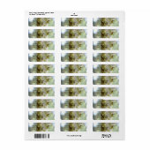 Dangling Orchid Mailing Labels (Full Sheet)