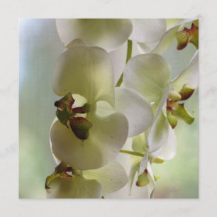 Dangling Orchid-uitnodigingen Kaart