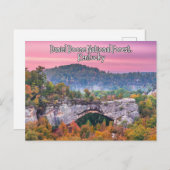 Daniel Boone National Forest Kentucky Briefkaart (Voorkant / Achterkant)