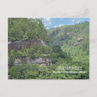 Daniel Boone National Forest Overlook Briefkaart