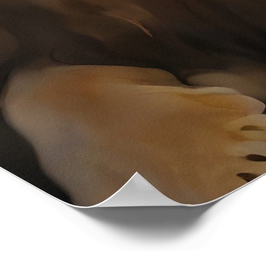 Daniel in de leeuwenkuil poster (Hoek)