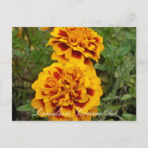 Danielson, Ct Briefkaart