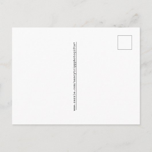 Dank Je 50e Verjaardag Cijfer Patroon Goud/Zwart Briefkaart (Achterkant)