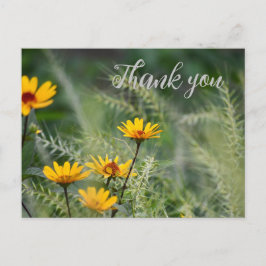 Dank je Ansichtkaart of gebruik je eigen tekst Briefkaart