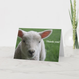 Dank je! bedankkaart