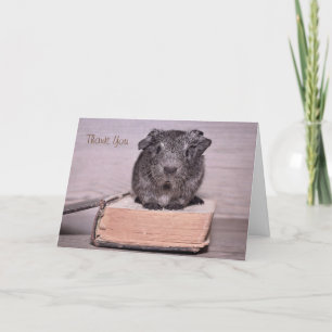 Dank je Cavia Zat op een Boek Bedankkaart