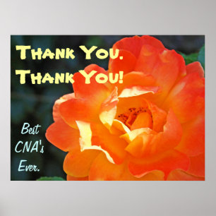 Dank je! CNA-kunstprints posters Beste Verpleging 
