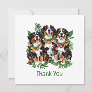 Dank je Hawaiaanse Berner Sennenhonden Bedankkaart