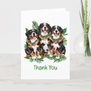 Dank je Hawaiaanse Berner Sennenhonden Bedankkaart