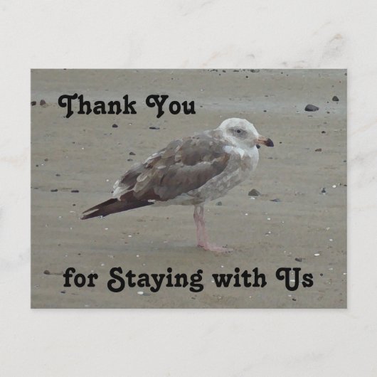 Dank je Huur van strandhuis Geschilderde meeuw Briefkaart (Voorkant)