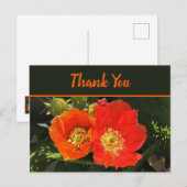 Dank je mooie woestijnbloei Foto Cactus Bloem Briefkaart (Voorkant / Achterkant)