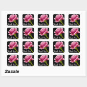 Dank je roze roze roze dank je zwarte Sticker / ze (Vel)