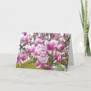 Dank je/Roze Schotel Magnolia Kaart