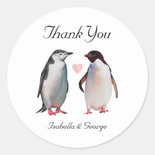 Dank je trouw & pinguïn paar met hart ronde sticker