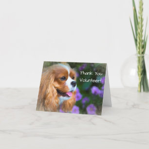 Dank je vrijwilliger Cavalier King Charles Spaniel Bedankkaart